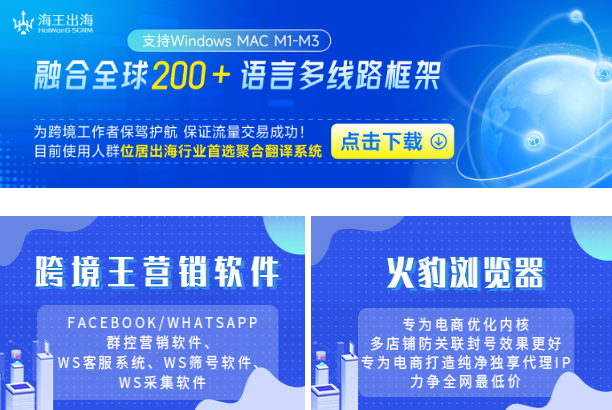 海王出海APP：重构跨境沟通与营销的核心竞争力解析